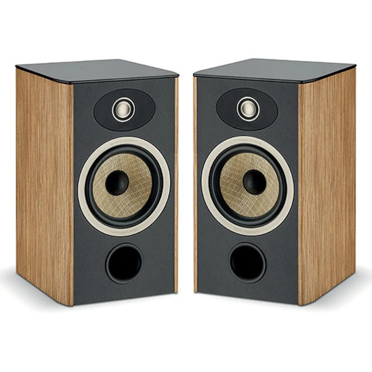 Focal Aria EVO X N°1