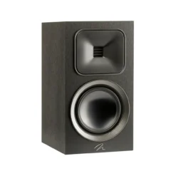MartinLogan Foundation B1