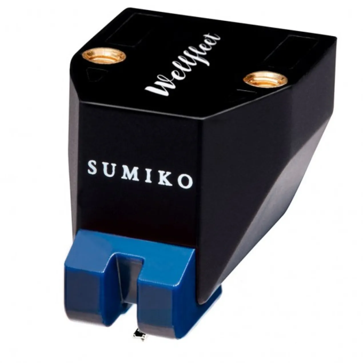 Sumiko Wellfleet